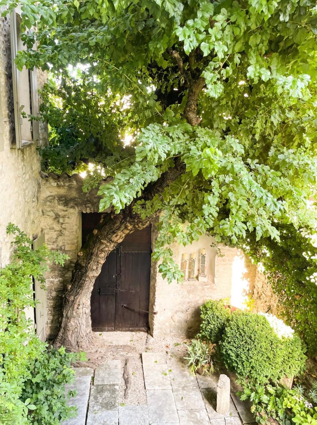 Le Murier Vaison-la-Romaine Exterior photo