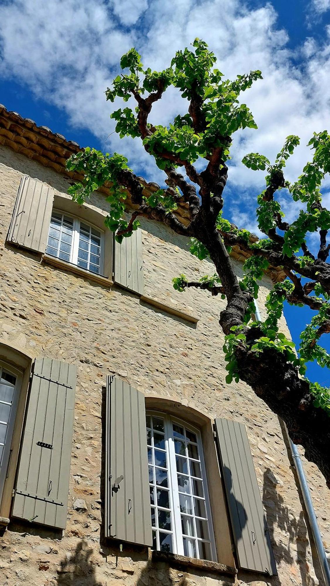 Le Murier Vaison-la-Romaine Exterior photo